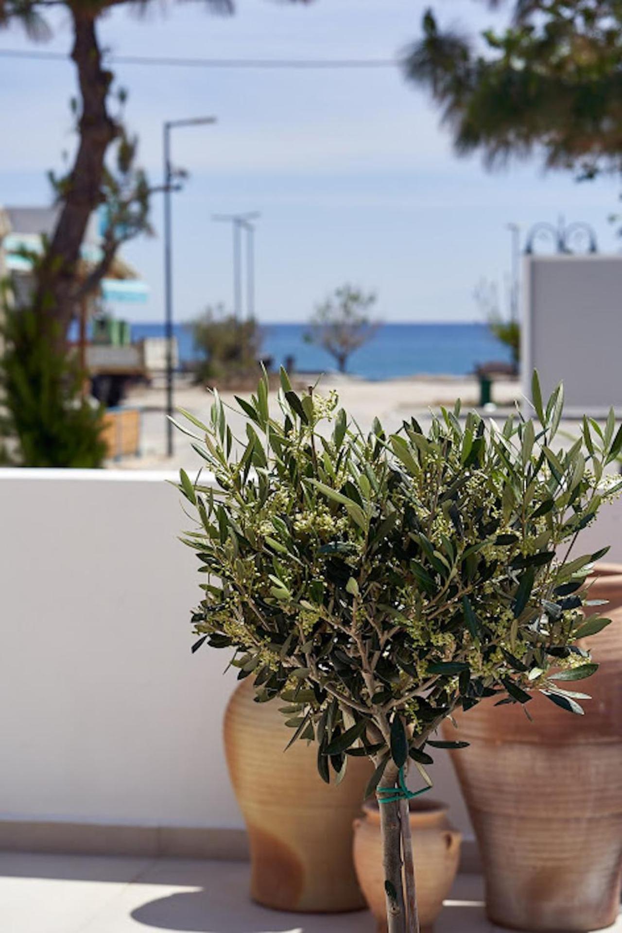 Sia Mare Seaside Apartments Faliraki Cameră foto